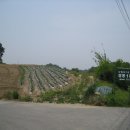 쌍봉1리(웃강거리) 이미지