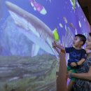 바다야놀자 이미지