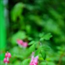 대덕고등학교 버스정류장 이미지