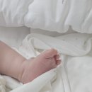 시오다과 | 경산빵맛집 시오다과의 휘낭시에