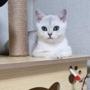 부산뱅갈하우스 이미지