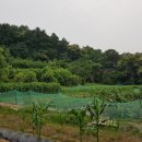 전원2단지어린이공원 이미지