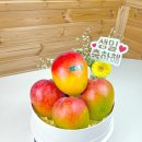 달빛과일 공도점 이미지