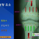 롯데백화점 문화센터 성장강의 2 /광주성장클리닉 이미지