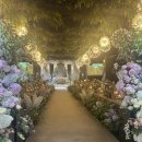 마모이룸 | 가성비 결혼준비 1단계 : 웨딩홀 고르기ㅣ암행투어 꿀팁 공유