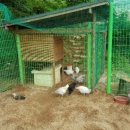 현인농장 이미지