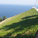 저동농장 이미지