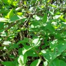 중말농장 이미지