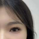 다르수