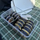 악동김밥 | 2026년 뷰티풀민트라이프 문화비축기지에서 즐긴 감성 페스티벌 음악축제 첫 방문 후기