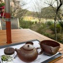카페밭티 | [공지] 제주 녹차밭 카페 끝판왕🍵 오설록 티 뮤지엄 솔직후기 (사진 스팟 있음)