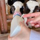 정환목장 이미지