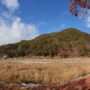 정이품송공원 화장실 이미지