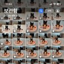 멍멍미식회 이미지