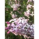 성연농장 이미지