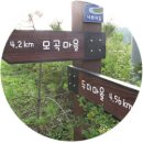 솔향펜션 이미지