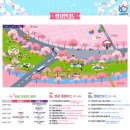 충훈2교 | 안양 벚꽃명소 충훈벚꽃축제, 안양천 벚꽃에 스며들다~