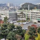 대구사