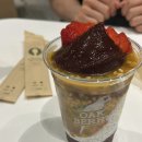 오크베리아사이