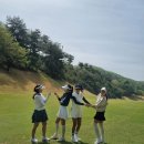 온그린골프연습장 이미지