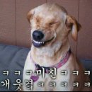 거시기요