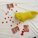 강서구-50 이미지