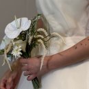 코코라인의원 | 웨딩 D - 43 💟💍 인모드 fx 후기 일주일 경과 (스노우의원 부산서면점) / 내 돈 내산