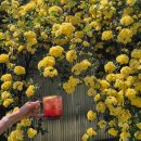 옥산2어린이공원 이미지