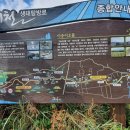 신례교차로 1 이미지