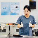 고래 죽음, 바다 오염과 연결… 상괭이 매년 1천 마리 이상 감소돼…" 이미지