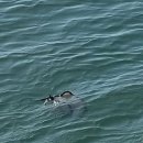 사곡슈퍼 이미지