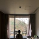 면역혁명 | 힐리언스 선마을에서 이시형 박사님 10가지 면역 혁명 체험 후기