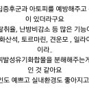 원주총판