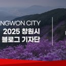 사파동155 이미지