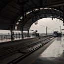 핑크라인 이미지