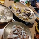 생명의 그물 1 이미지