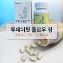 플로우핏 | 투데이핏 플로우 정 후기, 먹는 타이밍(공복/식후) 정리