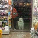 폴리파크지산점 이미지