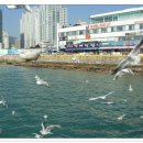 장흥 3리 이미지