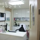 드림펫 동물병원 이미지