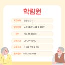 법인이노팜