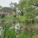 진주 용호정원 이미지