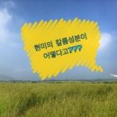 Re:현미김치(현미발효)의 가바 성분은 신장질환에 좋다는 일본 구글의 정보 腎臓病と玄米の関係ってどうなの？ 이미지