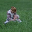 초록지붕 이미지