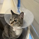 삼산종합동물병원 이미지