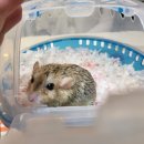 하안동물병원 이미지