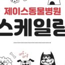 제이스동물병원 이미지