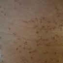 아젤린의원 이미지