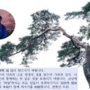 설 인사드리며, 나의 좌우명 진인사대천명(盡人事待天命)다짐 이미지