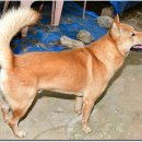 오늘오후 이미지